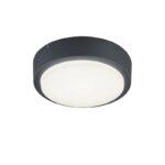 Fasadna zidna LED lampa-plafonjera BREG antracit 227260142