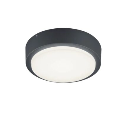 Fasadna zidna LED lampa-plafonjera BREG antracit 227260142