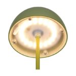 LED STONA LAMPA ORTIZ 2W 3000K R55601115 trio zelena