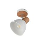 SPOT LAMPA DELUME 1XE27 R86671031 trio lighting