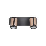 SPOT LAMPA GILLAN 2XGU10 814500265 trio